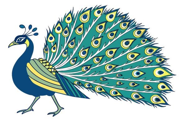 A Vibrant Peacock Graphics & Illustrations Asset