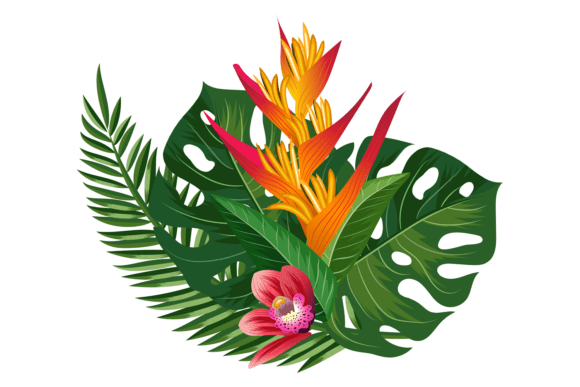 Blooming Tropical Flower. Summer Nature Graphics