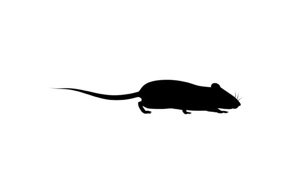 Rat Silhouette Illustration Vector Art: Graphics & Illustrations for Editorial Impact